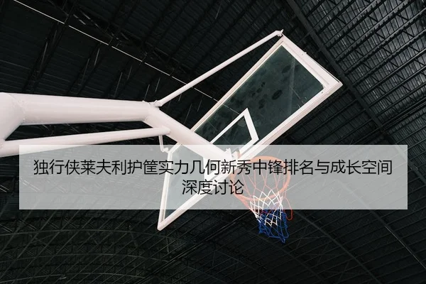 独行侠莱夫利护筐实力几何新秀中锋排名与成长空间深度讨论