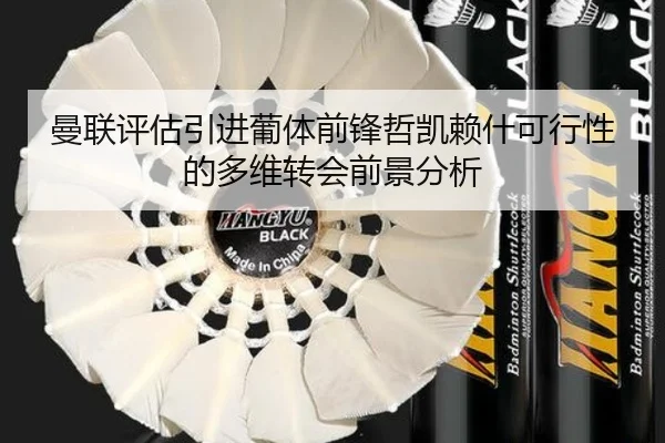 曼联评估引进葡体前锋哲凯赖什可行性的多维转会前景分析