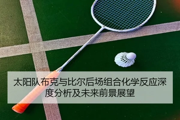 太阳队布克与比尔后场组合化学反应深度分析及未来前景展望