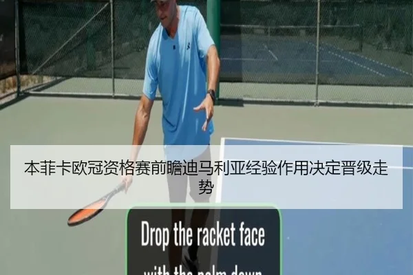 本菲卡欧冠资格赛前瞻迪马利亚经验作用决定晋级走势