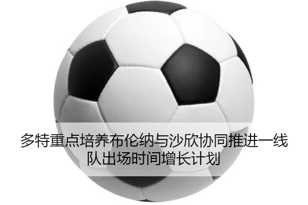 多特重点培养布伦纳与沙欣协同推进一线队出场时间增长计划